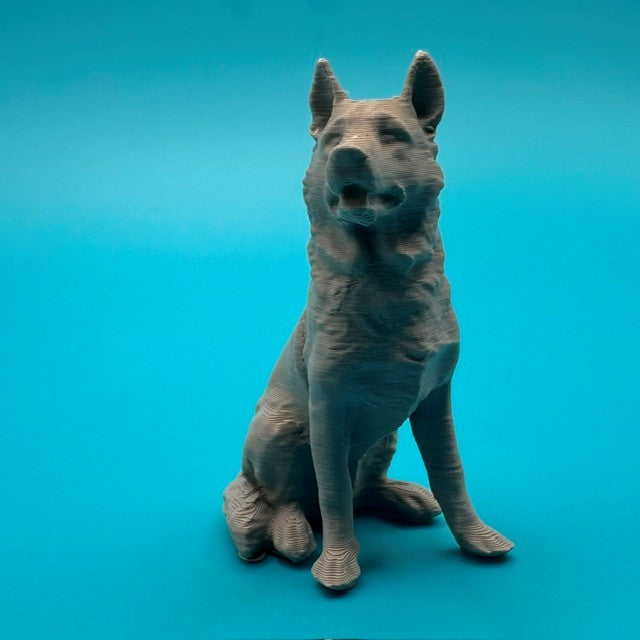 German Shepherd Ships Dog
