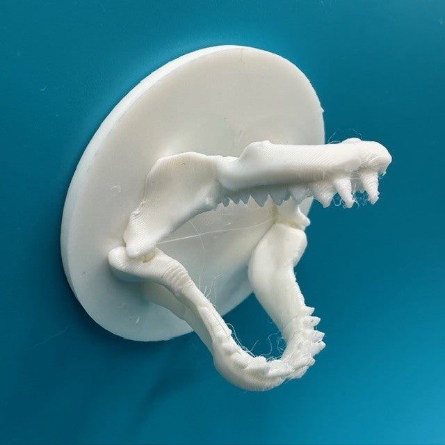 Shark Jaws Orca 50x50x26mm image 0