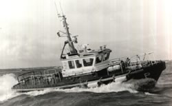 Blue Toon Model Boat Plan