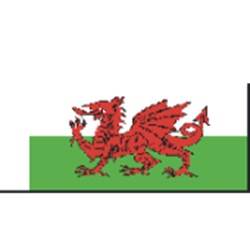 BECC GB30 Wales National Flag