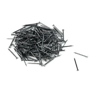 Iron Nails 12mm (100)
