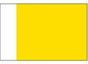 BECC IC30 Quarantine Flag (Code Q)