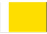 BECC IC30 Quarantine Flag (Code Q)