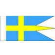 A small Swedish flag pennant banner with a blue field, yellow cross, and white arrowhead, shown on a plain white background.